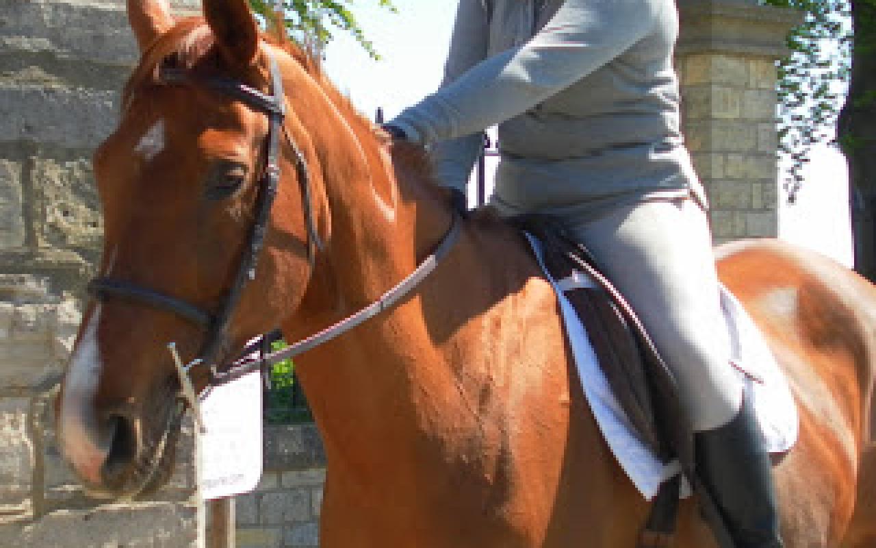Βρετανίδα αυτοκτόνησε γιατί δεν άντεξε το θάνατο του αλόγου της