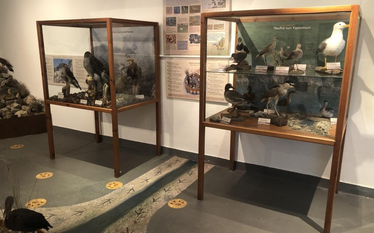 Μουσείο Γεργερης