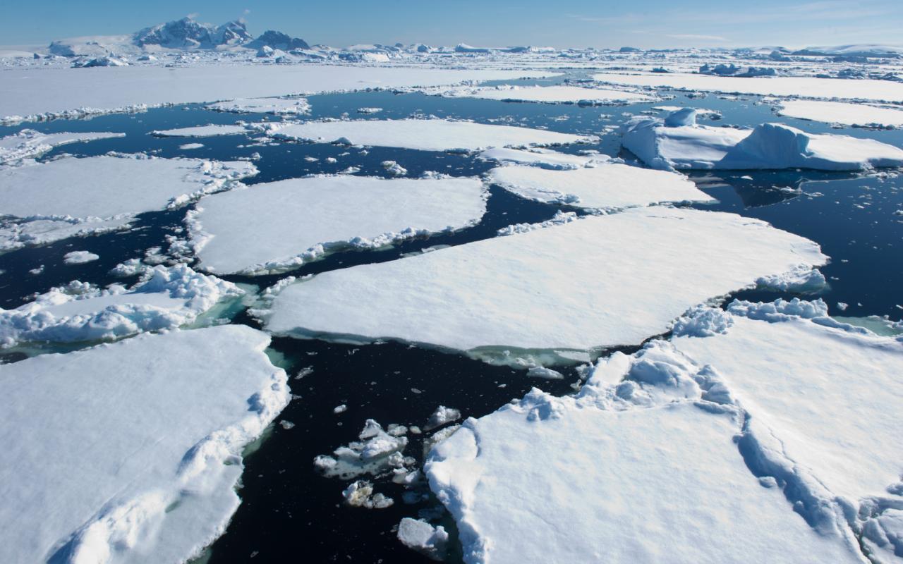 πάγοι γροιλανδία