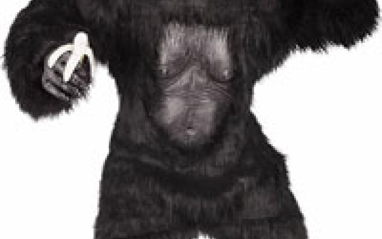 Ανέκδοτο: Ο άνδρας, η γυναικά και το κουστούμι του King Kong