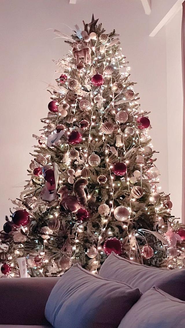 Το Χριστουγεννιάτικο δέντρο της οικογένειας Σπανούλη