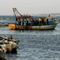 Νεκρός παλαιστίνιος ψαράς από πυρά ισραηλινών στρατιωτών