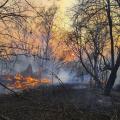 φωτιά στο Τσέρνομπιλ 