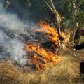 Πύρινη κόλαση στη  Ρογδιά -Ισχυρές δυνάμεις πυρόσβεσης σε ολονύχτια μάχη με τις φλόγες