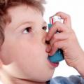 Junk food και παιδικό άσθμα: έρευνα σε 51 διαφορετικές χώρες