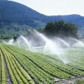 Νέα τεχνολογία στη γεωργία, εξοικονομεί έως και 40% στην κατανάλωση νερού