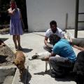 Δήμος Ηρακλείου: Oι εργαζόμενοι στην καθαριότητα υιοθέτυησαν αδέσποτα ζώα