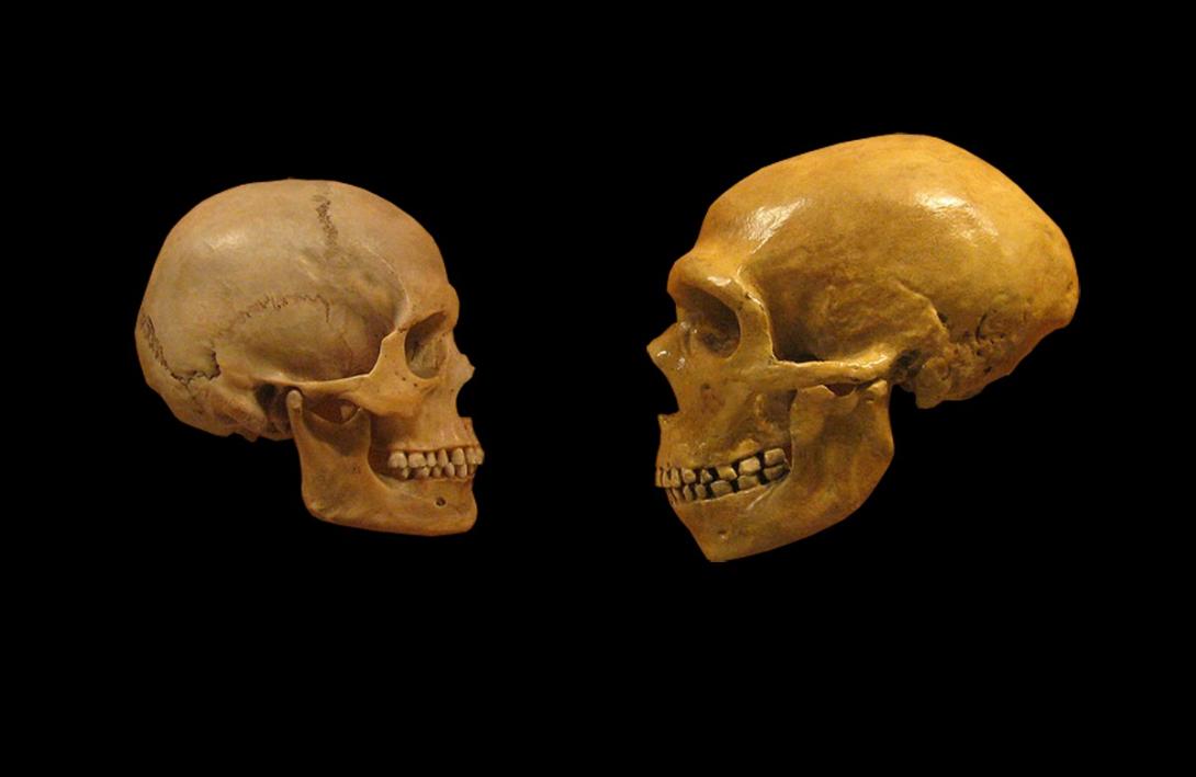 Πολύ νωρίτερα φαίνεται να έφθασαν οι πρώτοι Homo sapiens στη Δυτική Ευρώπη, 