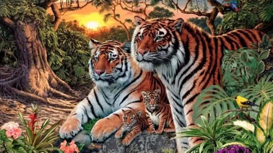 Η οφθαλμαπάτη με τις τίγρεις που έγινε viral 