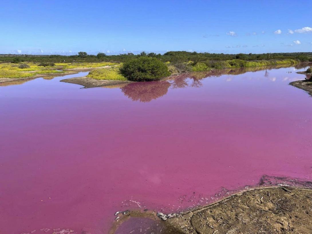 ροζ λιμνη χαβαη