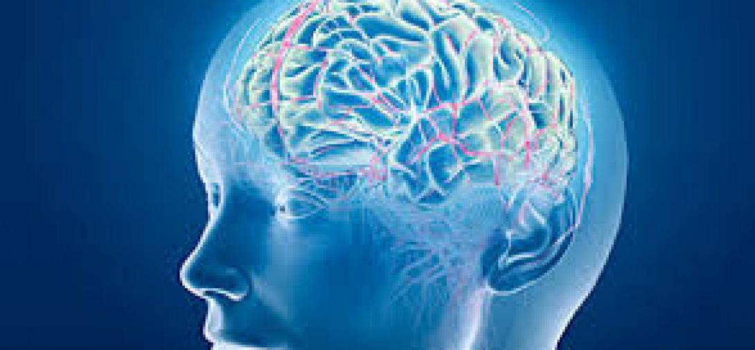 Νέες έρευνες επιστημόνων για τα εγκεφαλικά