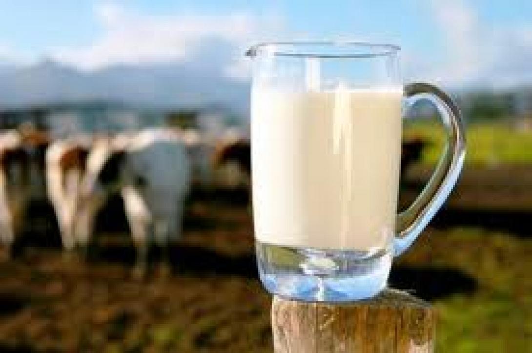 Κατά της επιμήκυνσης της διάρκειας ζωής του φρέσκου γάλακτος, δηλώνει ο Μ. Χαρακόπουλος