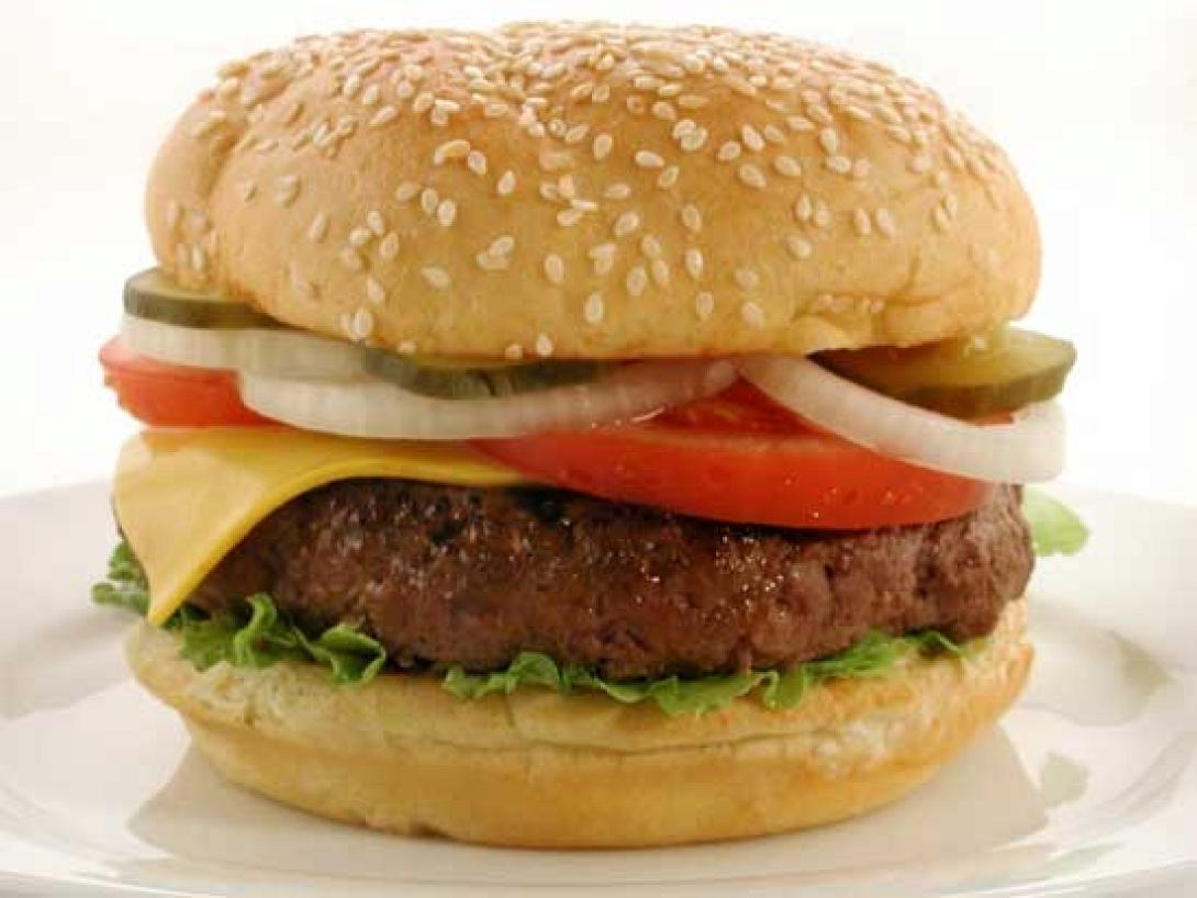 Tα χάμπουργκερ των fast food, μπορεί να περιέχουν μόνο 2% πραγματικό κρέας.