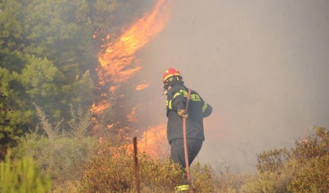 Υπό μερικό έλεγχο η πυρκαγιά στον Κουτσουρά  - Ζημιές στο δίκτυο ύδρευσης της περιοχής
