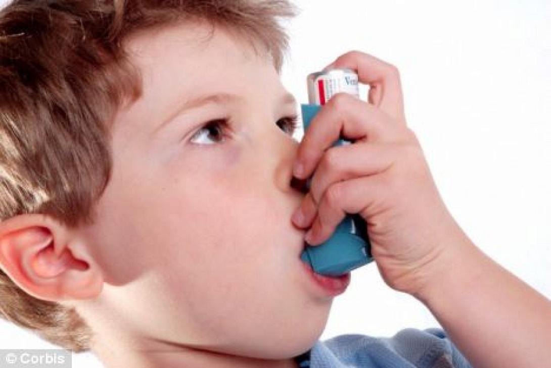 Junk food και παιδικό άσθμα: έρευνα σε 51 διαφορετικές χώρες
