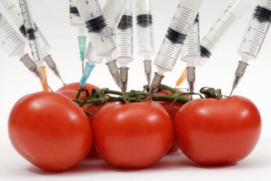 Κοντά σε συμφωνία η ΕΕ για τα γενετικά τροποποιημένα προιόντα