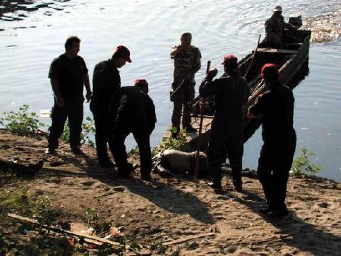 Επιχείρηση απεγκλωβισμού μεταναστών από ποταμό στον Έβρο