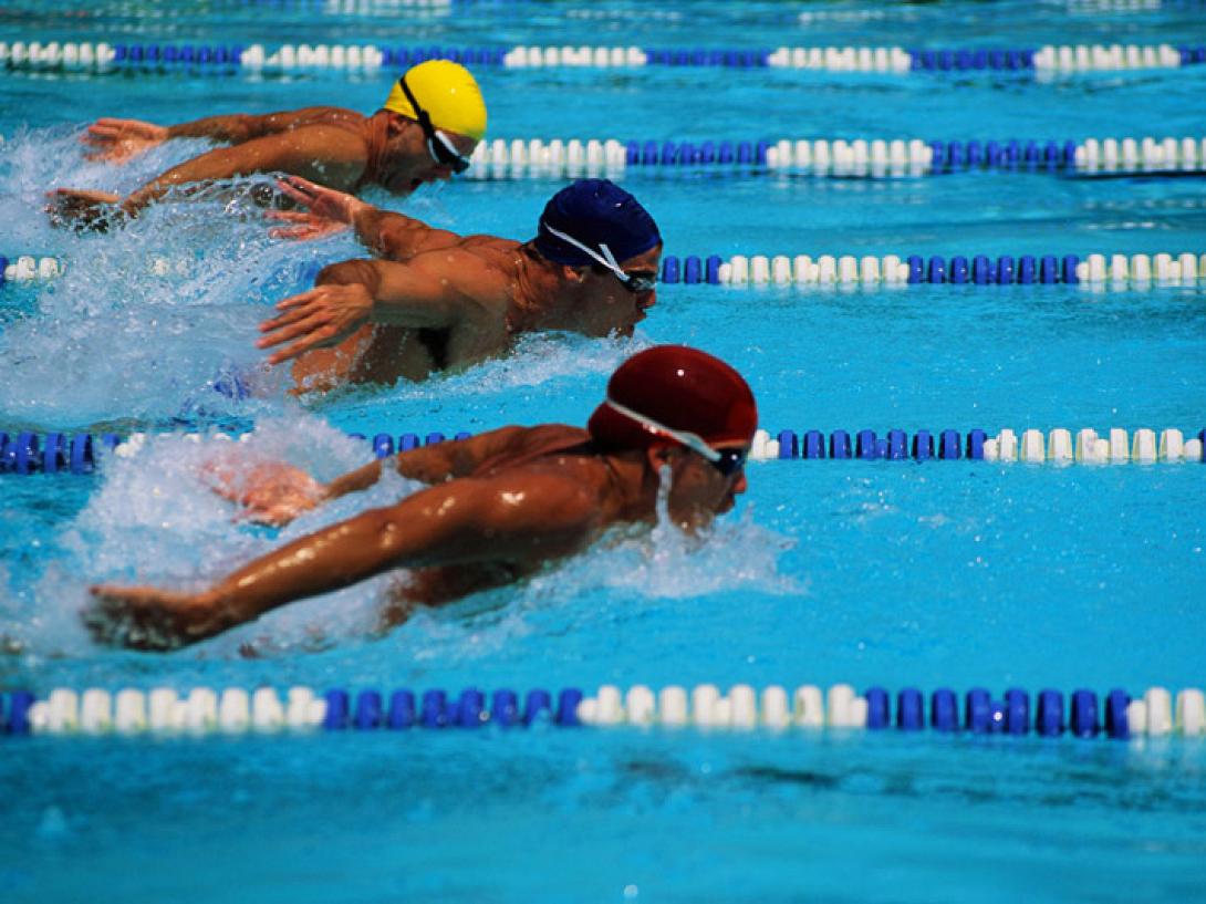 swimming-race.jpg