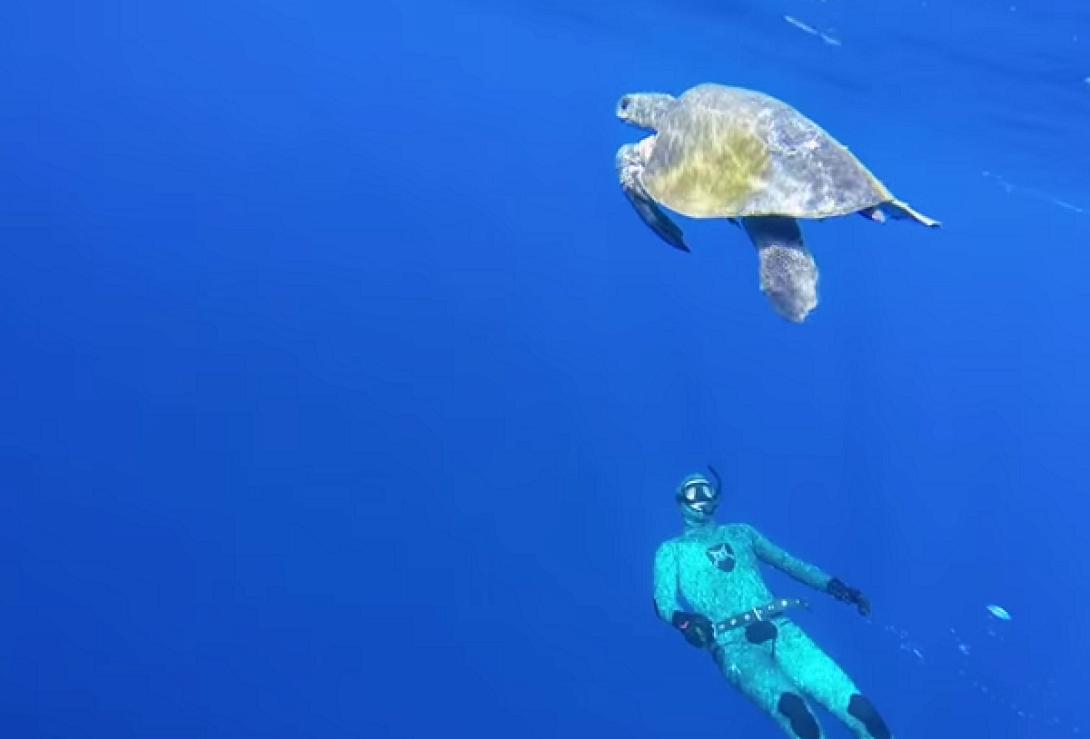 Μία θαλάσσια χελώνα &quot;ευχαριστεί&quot; τον διασώστη της (βίντεο)