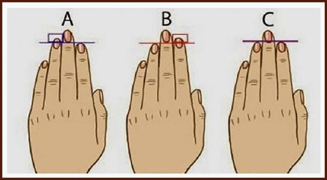 Η εικόνα δείχνει τρεις τύπους μήκη δαχτύλων