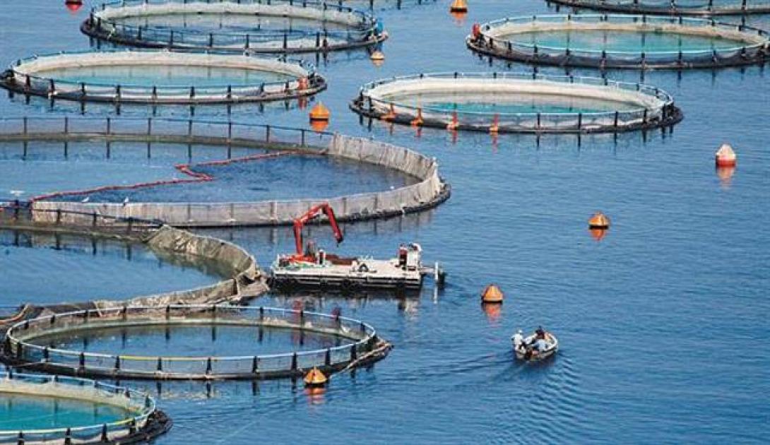 Σημαντική αύξηση κονδυλίων για αλιεία και υδατοκαλλιέργειες