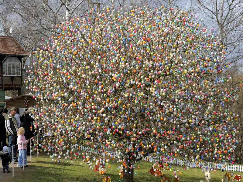 στη φωτογραφία απεικονίζεται το πασχαλινό δέντρο στολισμένο με πασχαλινά αυγά, έθιμο της Γερμανίας