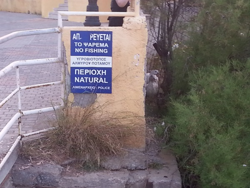 αλμυρος αλμυρος