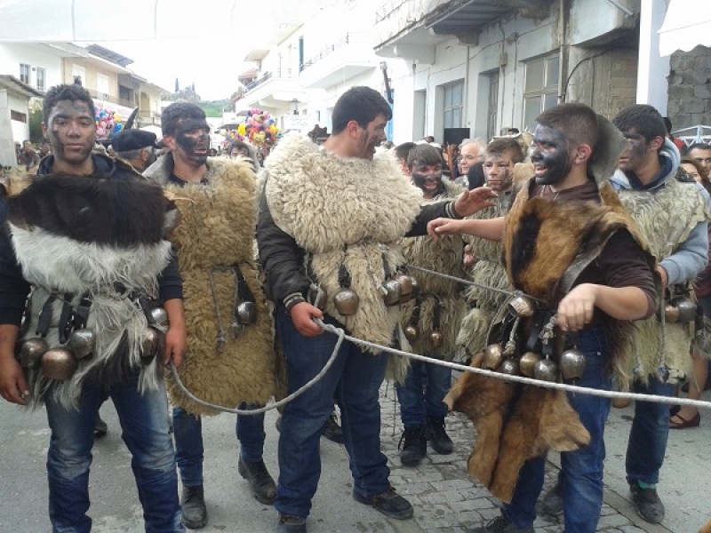 Αρκουδιαρηδες Γεργερης 