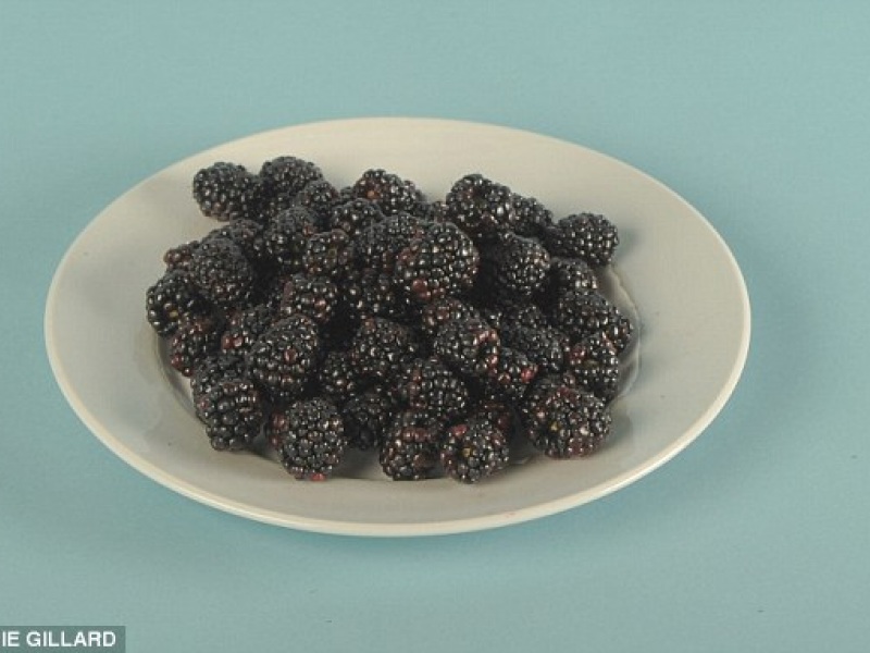 blackberries.jpg blackberries.jpg