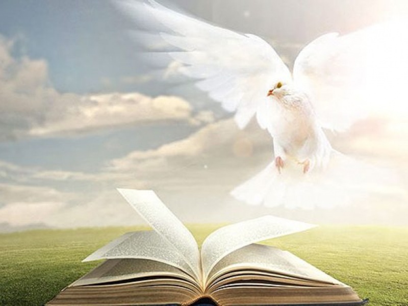 holy-spirit-752x438.jpg holy-spirit-752x438.jpg