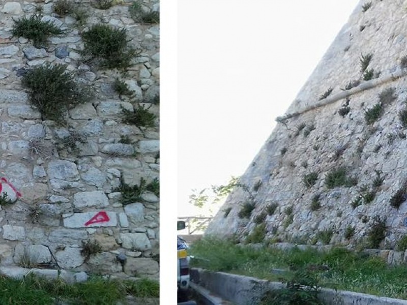 lagoydakia3.jpg lagoydakia3.jpg