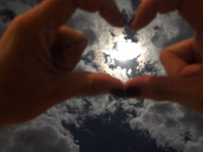 moon.png moon.png