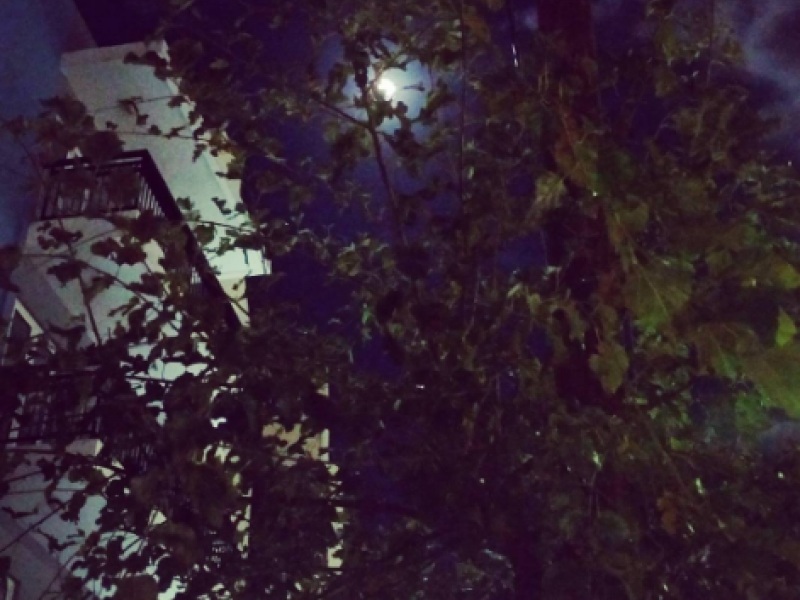moon9.png moon9.png