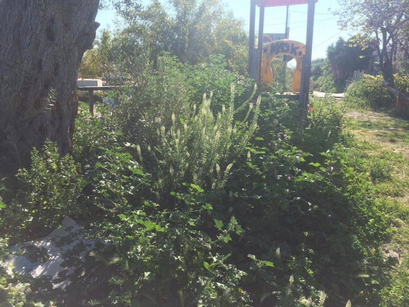 παιδική χαρά παπα τίτου μετόχι παιδική χαρά παπα τίτου μετόχι