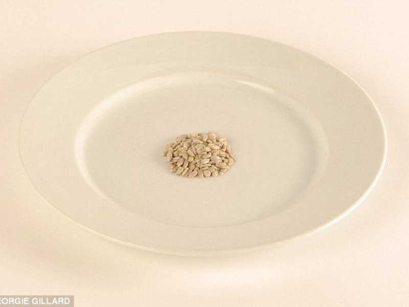 seeds.jpg seeds.jpg