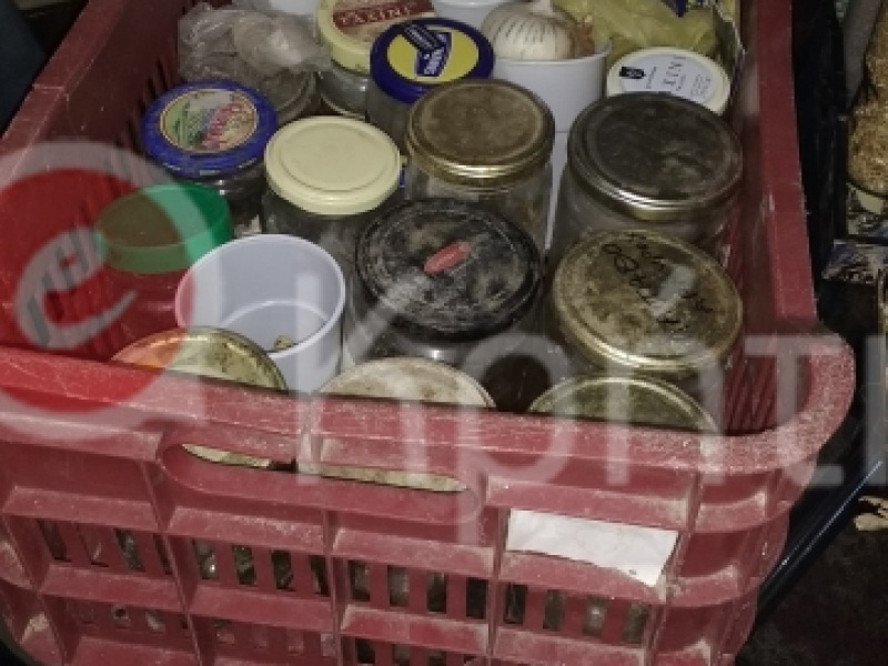σπόροι σπόροι