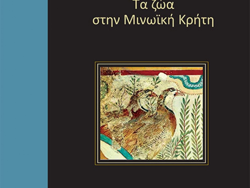 zoa-minoiki-kriti.jpg zoa-minoiki-kriti.jpg