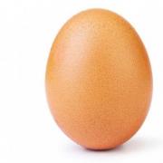αυγο