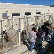 Κυνοκομείο