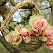 λουλούδια γιορτή