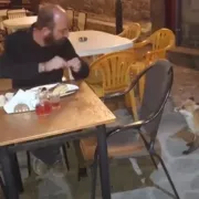 αλεπου