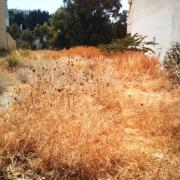 ακαθαριστα οικόπεδα