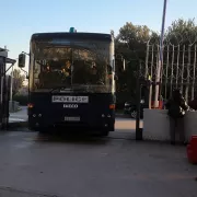 οπαδοι