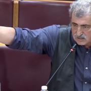 ΠΟΛΑΚΗΣ ΒΟΥΛΗ