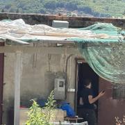 κτηνοτρόφος ρέθυμνο