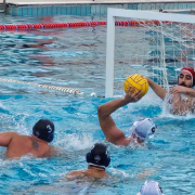 ΠΟΛΟ ΟΦΗ ΝΟΧ