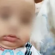 παναγιωτακης αμαλιαδα