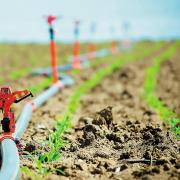 ΑΡΔΕΥΣΗ ΓΙΑ ΚΑΛΛΙΕΡΓΕΙΕΣ