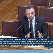 παρασυρης