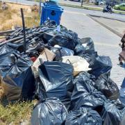 εθελοντική δράση 
